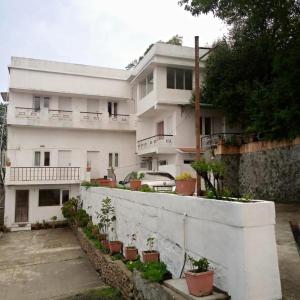 科代卡纳尔Kumaragiri Cottages Kodaikanal的前面有盆栽植物的白色建筑