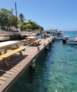 帕拉德拉Mo Place的码头,设有野餐桌和水中的船只