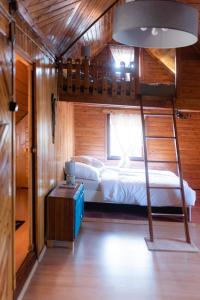 科尔别卢夫Korbielówka的一间卧室配有一张双层床和梯子
