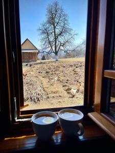 BrebPensiunea Agroturistica Casa Pribegilor的窗台上两个杯子,享有田野的景色