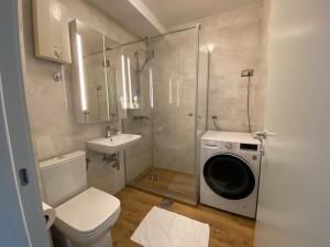 贝尔格莱德Hidden Gem的浴室配有卫生间、盥洗盆和洗衣机。
