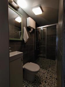 萨拉茨格里瓦Brīvdienu namiņš的浴室配有卫生间、盥洗盆和淋浴。
