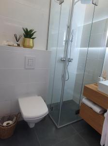 大格拉迪什泰COCO的一间带卫生间和玻璃淋浴间的浴室