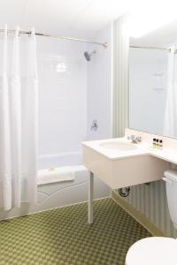 雅茅斯罗达大茅斯酒店的白色的浴室设有水槽和淋浴。