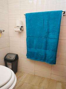 BondoDala Luxury Home- Bondo的浴室配有蓝色的浴帘和卫生间