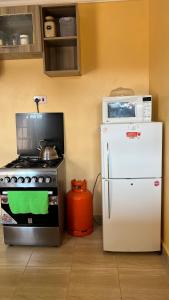 BondoDala Luxury Home- Bondo的厨房配有炉灶、微波炉和冰箱。