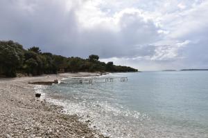 普拉Mobile Homes Istria - Brioni Pula的一片拥有树木和水的岩石海岸的海滩