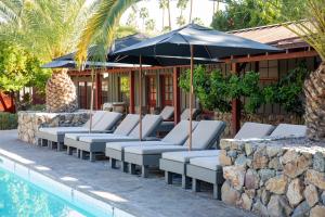 棕榈泉斯派罗木屋度假酒店的游泳池旁一排带遮阳伞的躺椅