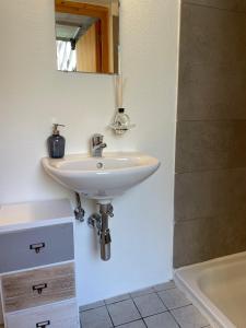 蒙特卡罗索Birdbox Curzútt的浴室配有盥洗盆、镜子和浴缸