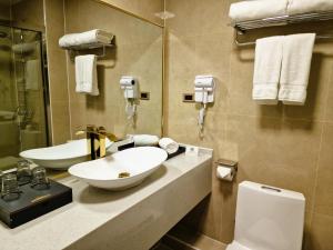 乌兰巴托新西方酒店的一间带水槽和卫生间的浴室