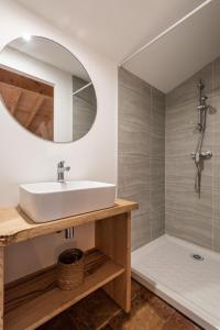 Saint-Martin-LalandeLE MOULIN DU VIVIER的一间带水槽和淋浴的浴室