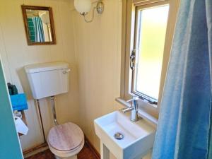 瓦伊河畔海伊Pen Bryn Shepherd Hut的一间带卫生间、水槽和窗户的浴室