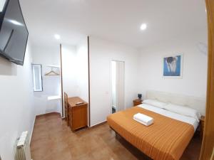 马德里CH Rayuela的一间小卧室,配有一张床和电视