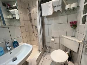 比苏姆Strandnest Büsum的一间带卫生间和水槽的小浴室