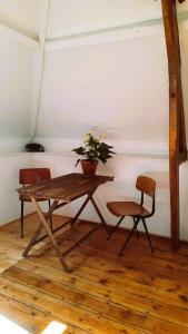 MachielChâteau Machiel的植物间里一张桌子和两把椅子