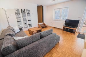 斯洛文尼亚科尼采Apartment pri Povhih的带沙发和平面电视的客厅