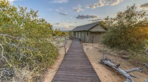 巴卢莱自然保护区Imagine Africa Luxury Tented Camp的相册照片