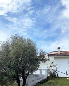 帕利努罗Villa Carmela的前面有一棵树的白色房子