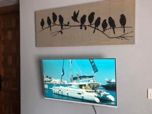 康塞普西翁新镇Finca Las Campanas II的挂在墙上的电视,鸟儿在树枝上