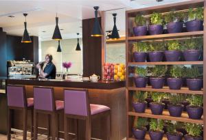 迪拜达玛克梅森运河景公寓式酒店的一间酒吧,里面摆放着紫色椅子和盆栽植物