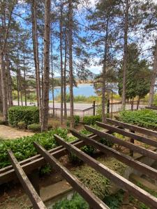 索佐波尔Tiny Bijou Sea View studio - Santa Marina - Sozopol的树木繁茂的公园里一排木凳