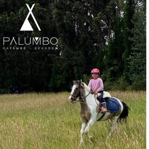 卡扬贝Palumbo Glamping & Villas的田野里骑马的年轻女孩