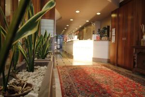 代森扎诺-德尔加达欧洲酒店的楼里带地毯和植物的走廊
