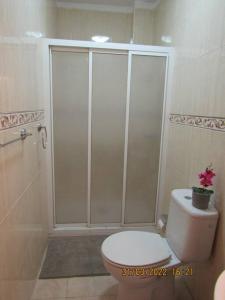 拉拉古纳ACOGEDOR PISO EN SAN CRISTOBAL DE LA LAGUNA的带淋浴的浴室以及带植物的卫生间。
