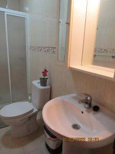 拉拉古纳ACOGEDOR PISO EN SAN CRISTOBAL DE LA LAGUNA的浴室配有白色卫生间和盥洗盆。