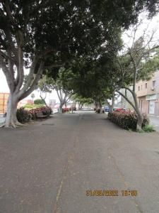 拉拉古纳ACOGEDOR PISO EN SAN CRISTOBAL DE LA LAGUNA的一条空的街道,路边有树木