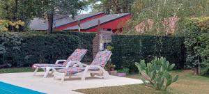 查克拉斯德科里亚Pequeña casa en chacras de coria的两把椅子和花卉垫子,位于游泳池旁