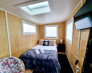 但尼丁Dunedin Luxurious Retreat Cabin的一间卧室设有一张床、一台电视和窗户。