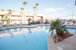 拉斯维加斯航空酒店的一个带椅子和棕榈树的大型蓝色游泳池
