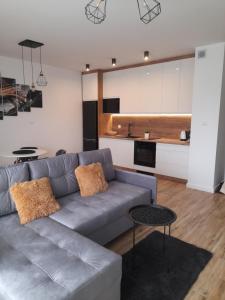 巴尔托希采Apartamenty Bartoszyce 2的带沙发的客厅和厨房