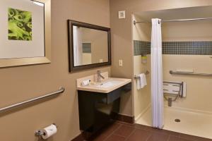 Sonesta ES Suites Orlando - Lake Buena Vista的一间浴室