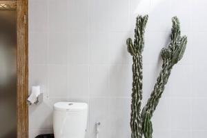 塞米亚克Villa Orked 1的浴室设有卫生间,墙上挂有仙人掌