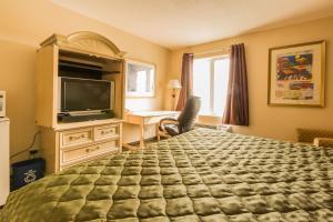 埃洛拉小镇旅馆的一间卧室配有一张床、一张书桌和一台电视