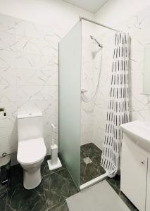 考纳斯Green apartments Easy Kaunas的一间带卫生间和淋浴的浴室