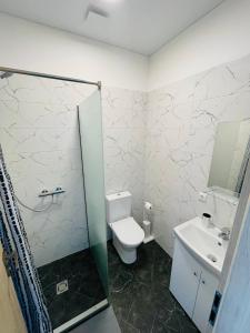 考纳斯Green apartments Easy Kaunas的一间带卫生间和水槽的浴室