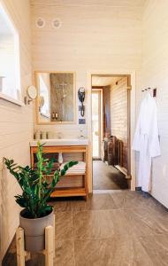 阿卢克斯内Holiday Houses LILLE`S with sauna的浴室设有水槽、镜子和植物