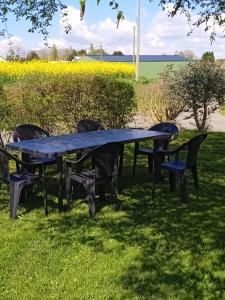 GombergeanMaison de vacances Sol & Piper的草上一张蓝色野餐桌和椅子