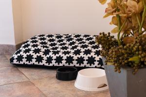 圣巴特罗摩艾美尔Residence Greco & Linda的植物旁边的地板上的一个黑白枕头