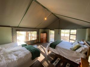 法尔瓦特Limpopo Bushveld Retreat的一间帐篷内带两张床的卧室