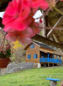 百乐·奥拉内斯蒂Casa Brună的蓝色窗户和粉红色花的房子