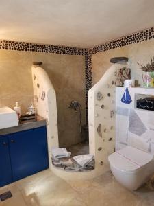 阿吉亚玛丽娜Apo Petra的浴室设有围岩淋浴和卫生间