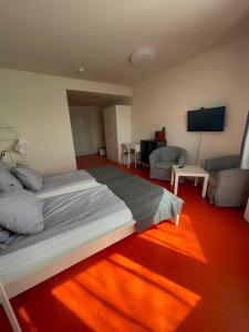 因河畔布劳瑙SOVEA Hotel - Braunau的一间卧室设有一张床和一间客厅。