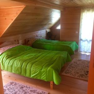 杜劳Casa Cris的木墙客房的两张绿色床