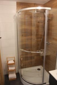 拉多姆Apartamenty Przy Deptaku w Radomiu的浴室里设有玻璃门淋浴