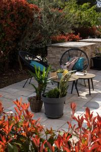 奥拉萨奇EMA的庭院设有两把椅子和一张植物桌子