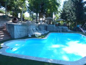 Santa Marinha do ZêzereQuinta da Cartida的庭院里的一个蓝色海水游泳池